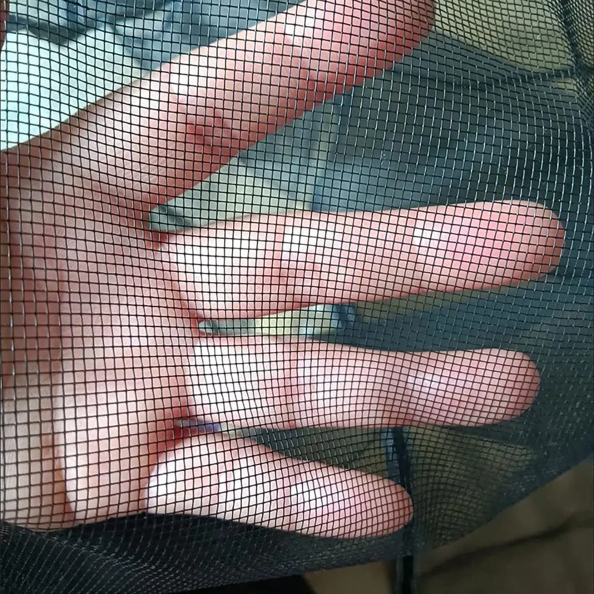 50x150cm Zanzariera per Finestre, Protezione Anti Insetti per Finestra, Kit Protezione Anti Zanzare con Nastro Autoadesivo