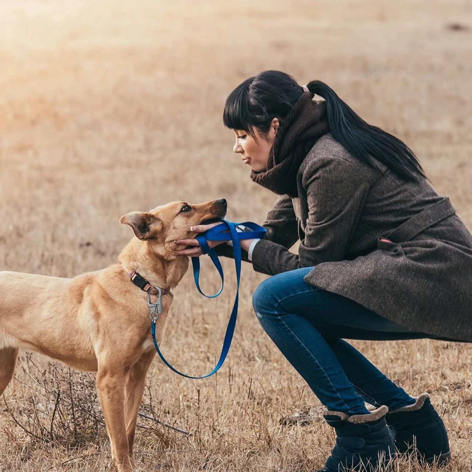 Ahiller Moschettone di Sicurezza da 7,9 cm, Portachiavi in Lega Pesante per Escursioni All'aperto, Campeggio, Laccio da Passeggio per Cani, Allenamento Indoor