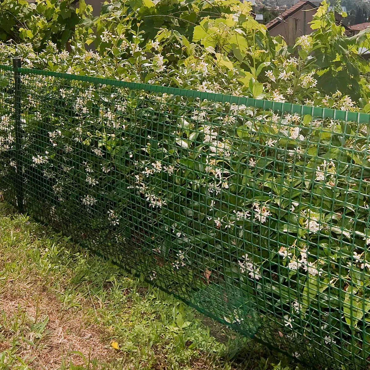 TENAX Quadra 20 Verde 0,50 x 5 m, Rete Protettiva in Plasticaper Cancelli, Recinzioni e Balconi